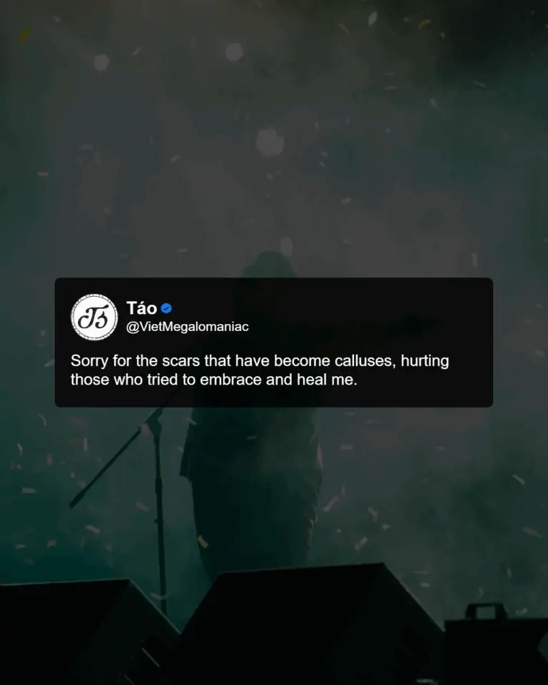 Sad Quote Preset – Inspired by Táo’s Quiet Mood