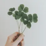 Illustration: Introducing the Lucky Wheel in Init