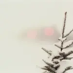 Illustration: Snowfall Effect for WordPress in December