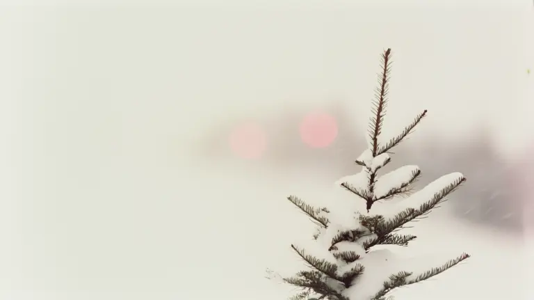 Snowfall Effect for WordPress in December with Init FX Engine