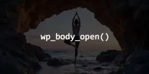 Illustration: wp_body_open() in WordPress: A Small Hook